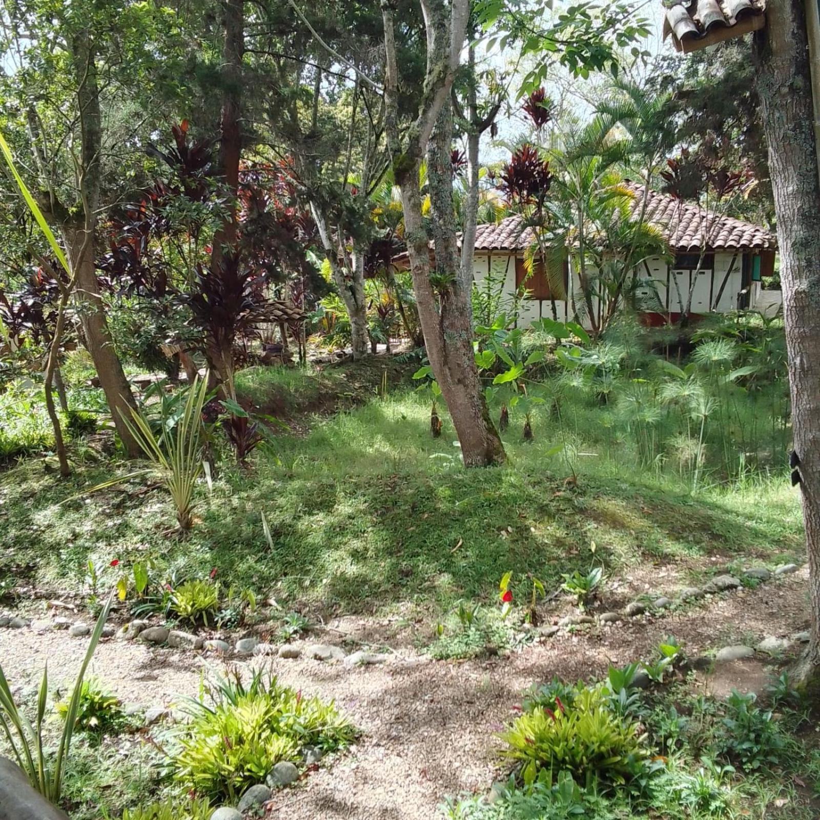 Hotel La Casa De Francois San Agustín Kültér fotó